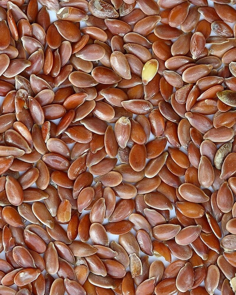 Flax seed